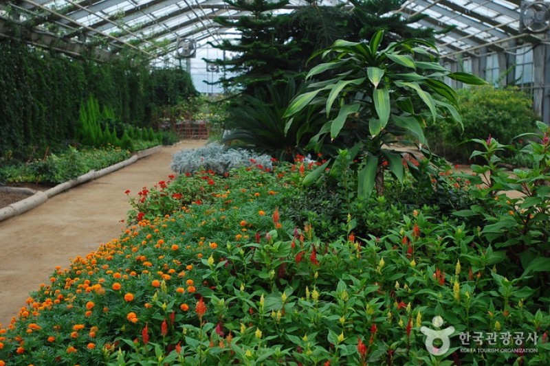 世界花卉植物園 (29/31)