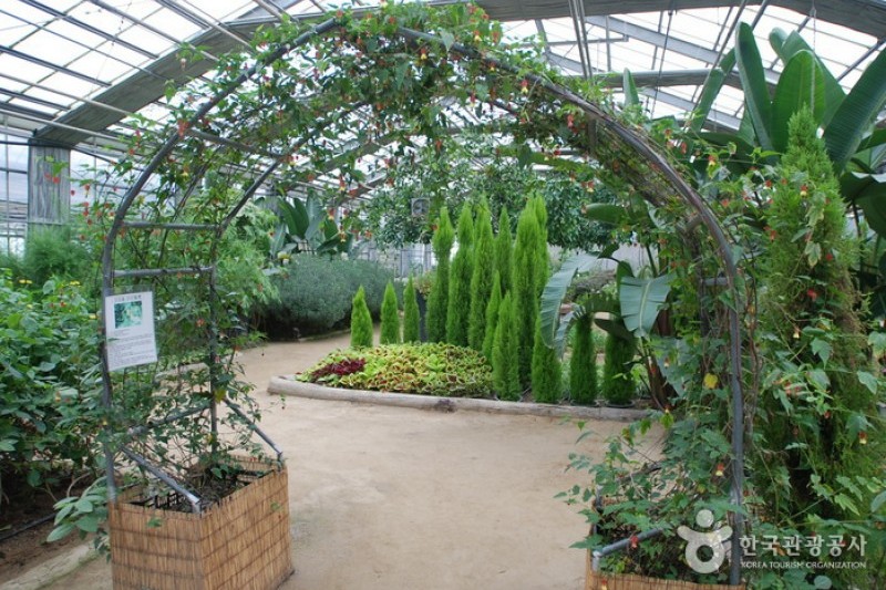 世界花卉植物園 (30/31)