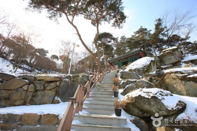 灌燭寺 (21/27)