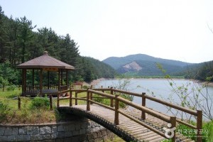 國立希里山海松自然休養林