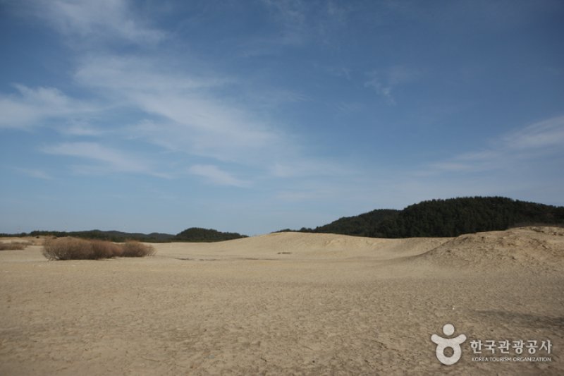 新斗里海岸沙丘 (1/13)