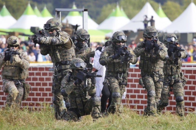 雞龍軍文化節