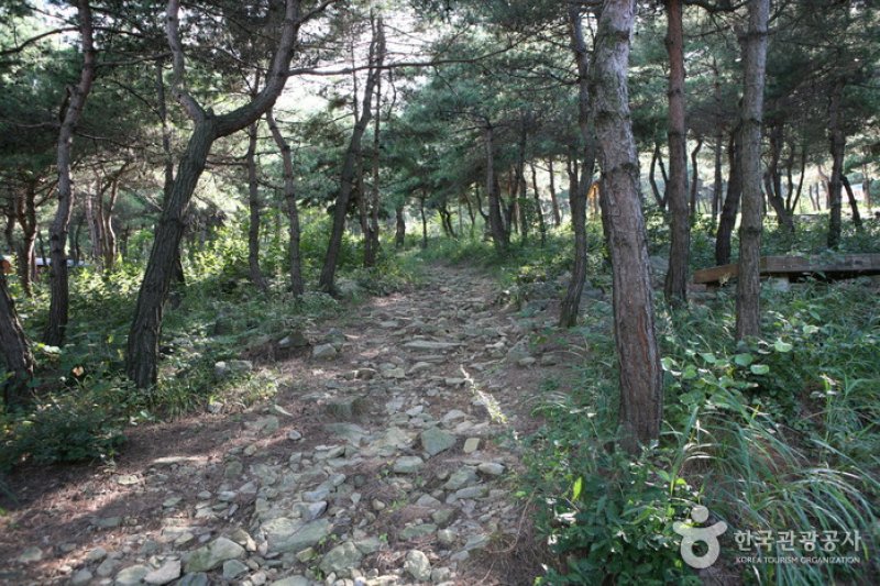 泰鶴山自然休養林 (2/6)
