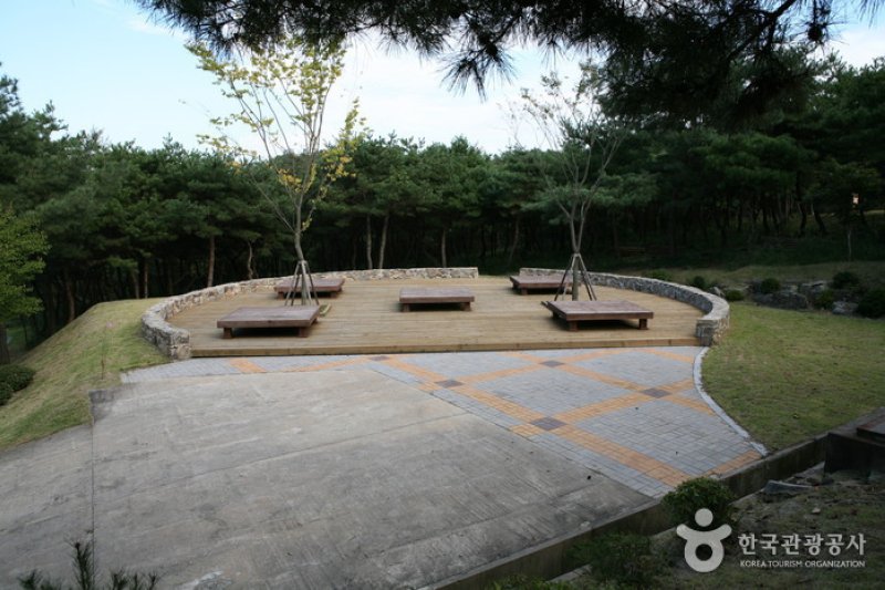 泰鶴山自然休養林 (5/6)