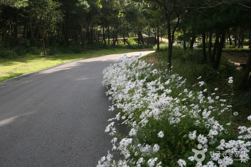 泰鶴山自然休養林 (6/6)