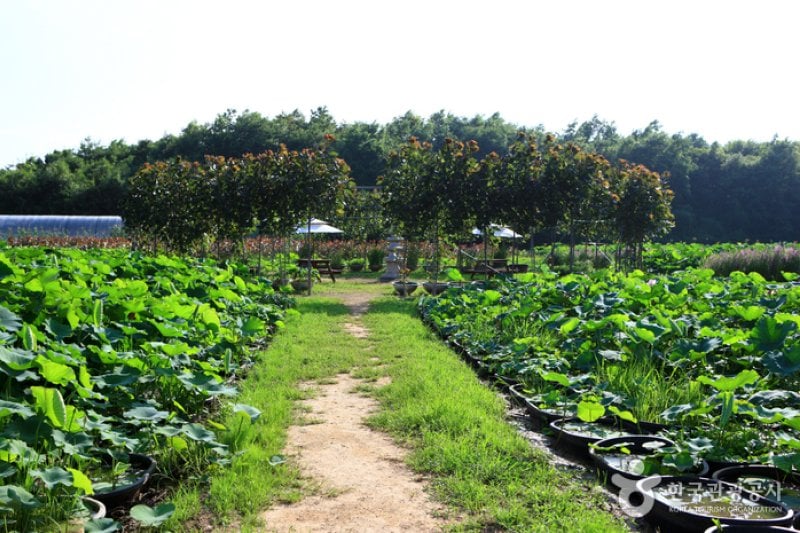 Green Rich Farm그린리치팜 (1/9)