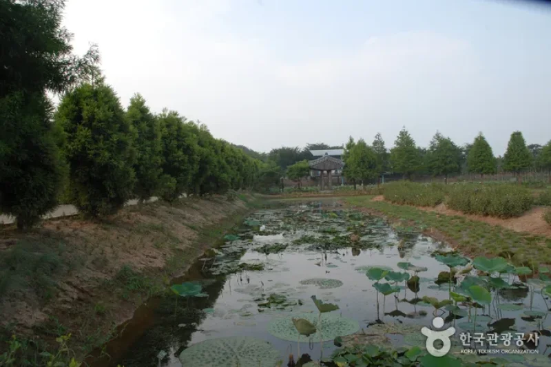 Green Rich Farm그린리치팜 (3/9)