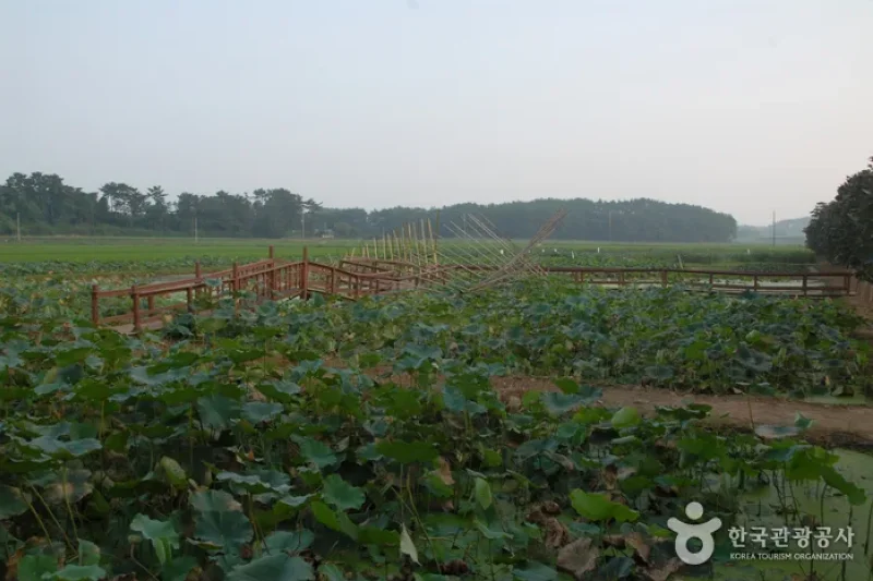 Green Rich Farm그린리치팜 (4/9)
