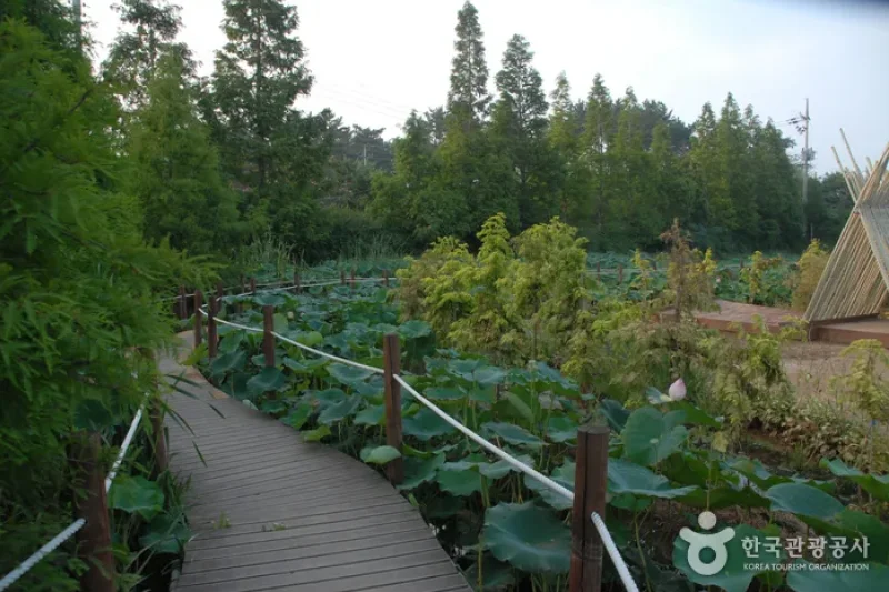 Green Rich Farm그린리치팜 (8/9)