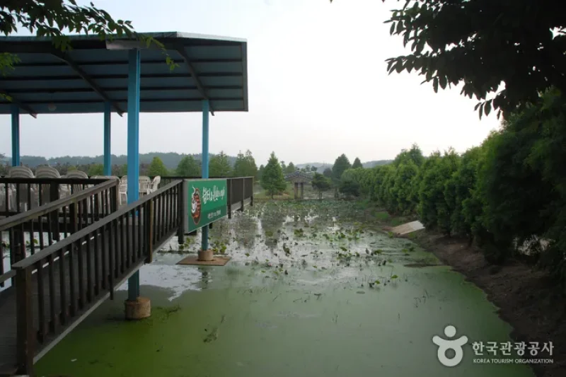 Green Rich Farm그린리치팜 (9/9)