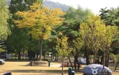 天安三岔路公園
