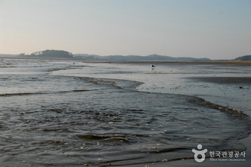 白沙場海水浴場 (7/11)