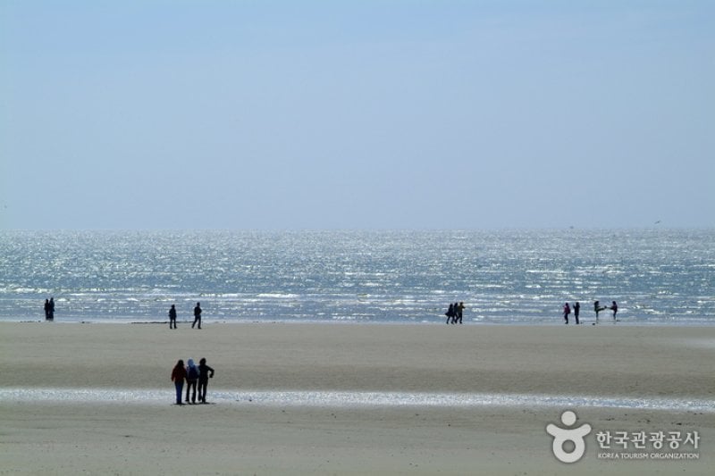 白沙場海水浴場 (10/11)