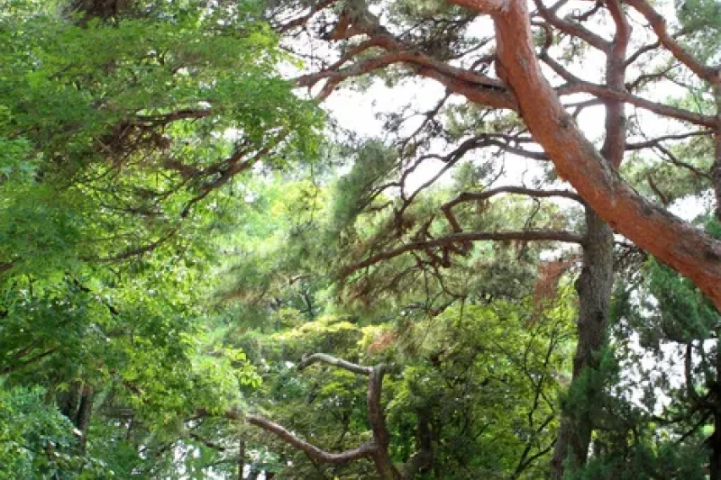 牙山市溫泉觀光特區 (9/9)