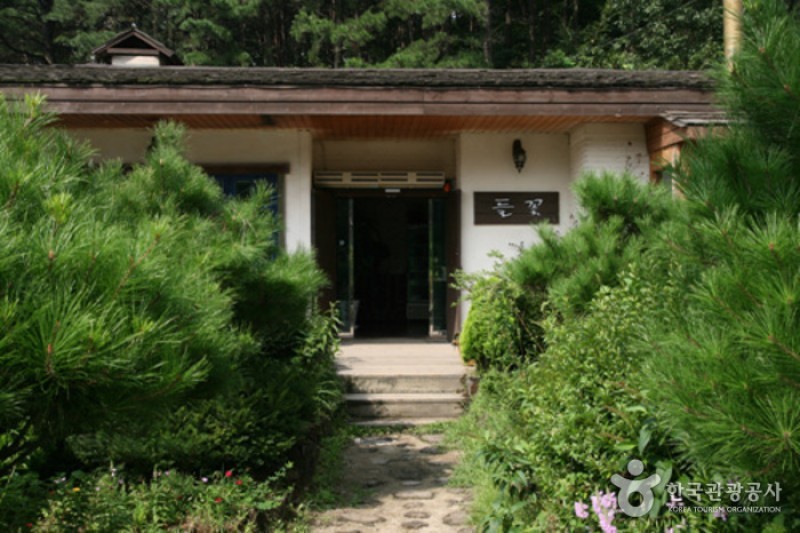 野花 (1/12)