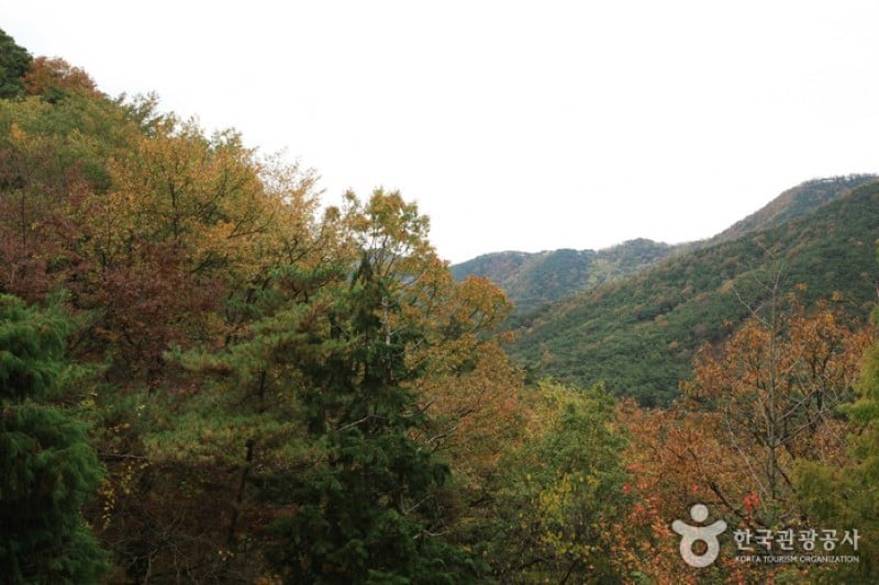 無等山國立公園 (1/45)