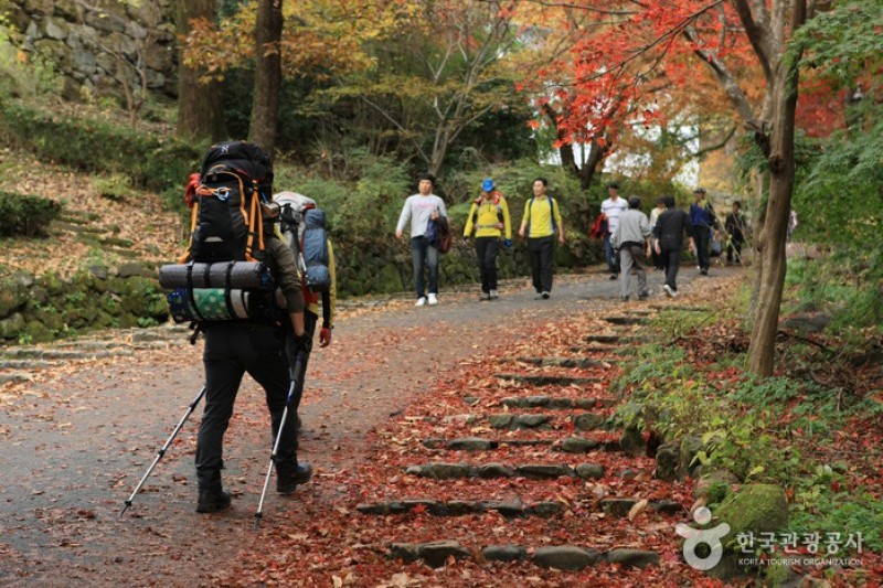 無等山國立公園 (2/45)