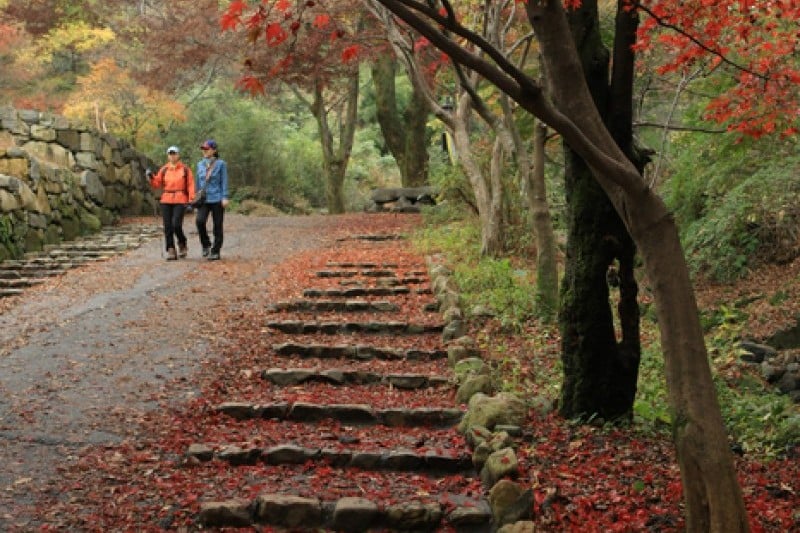 無等山國立公園 (3/45)