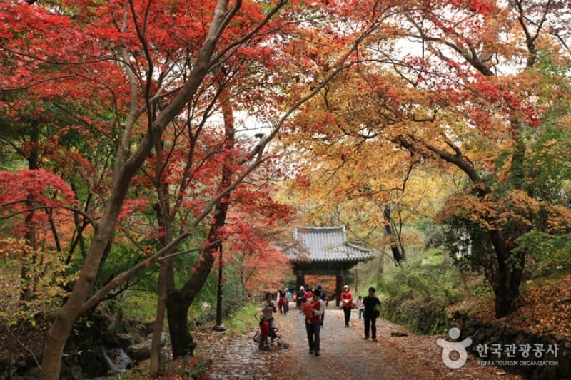 無等山國立公園 (4/45)