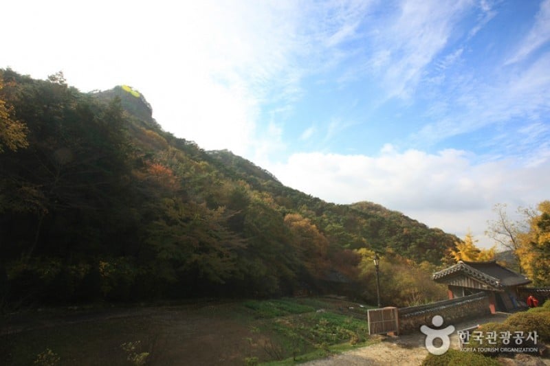 無等山國立公園 (6/45)