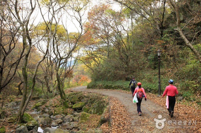 無等山國立公園 (8/45)