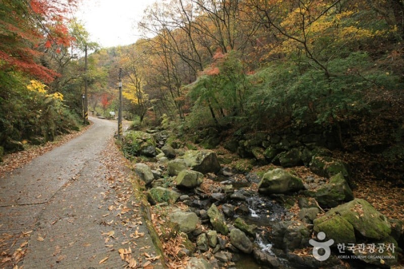 無等山國立公園 (9/45)