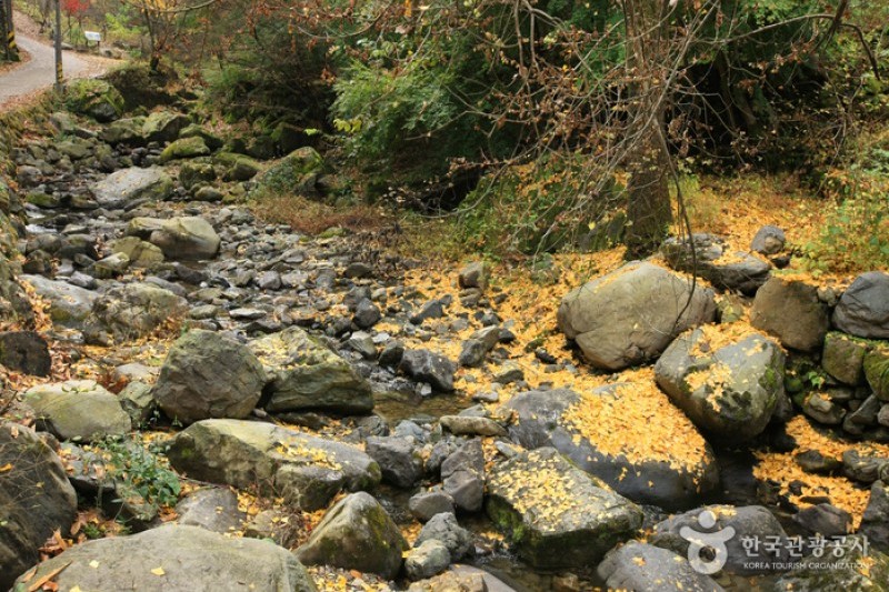 無等山國立公園 (10/45)