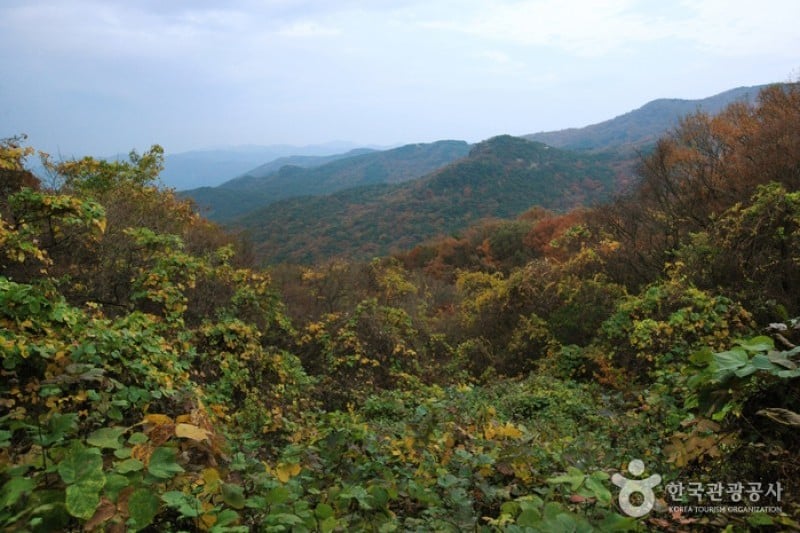 無等山國立公園 (11/45)