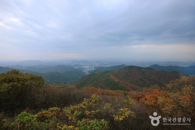 無等山國立公園 (12/45)