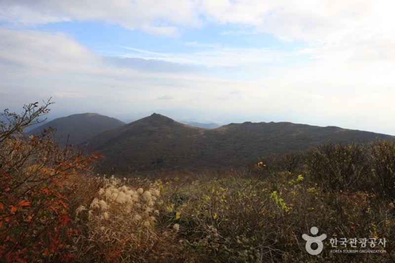 無等山國立公園 (22/45)