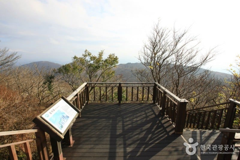 無等山國立公園 (23/45)