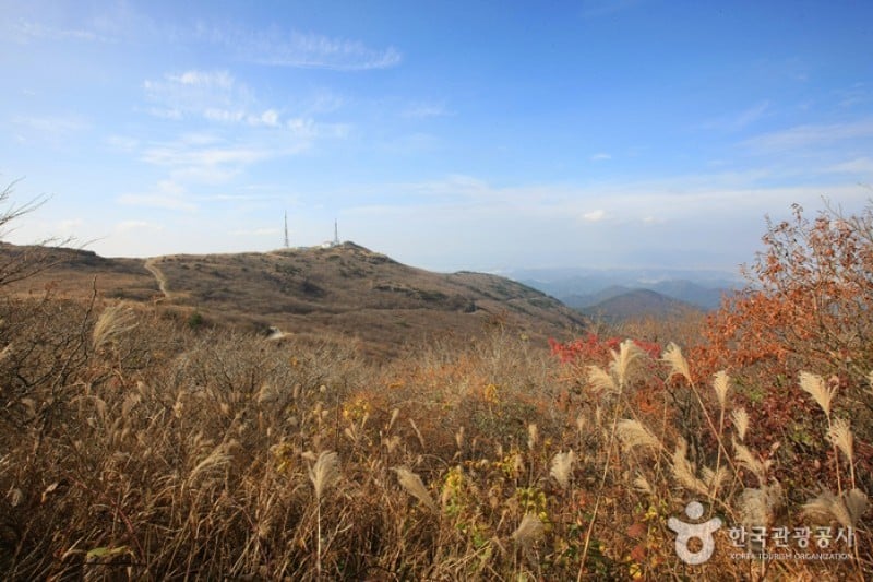 無等山國立公園 (41/45)