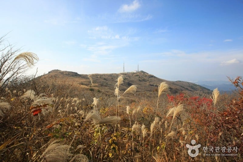 無等山國立公園 (42/45)