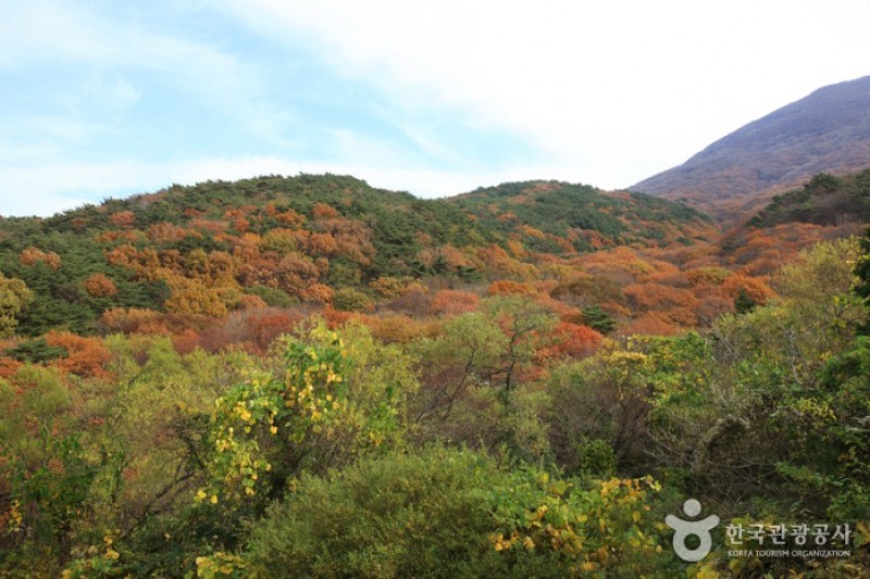 無等山國立公園 (43/45)