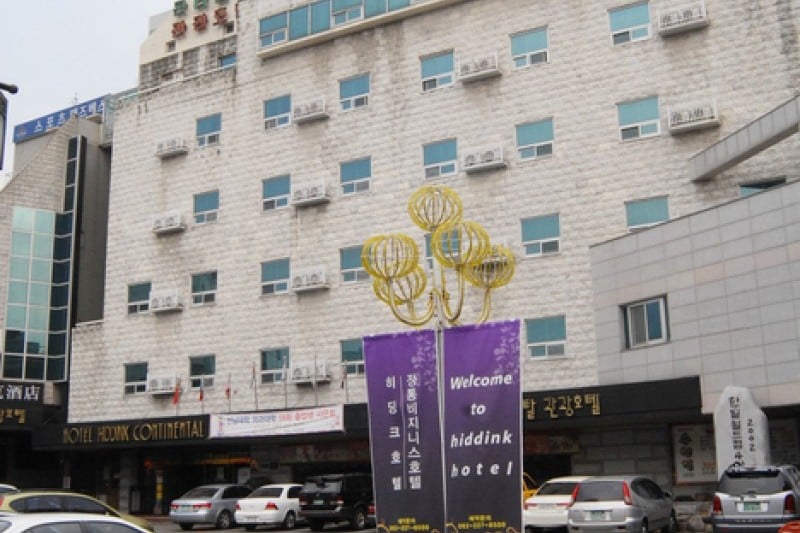 希丁克大陸 (2/36)
