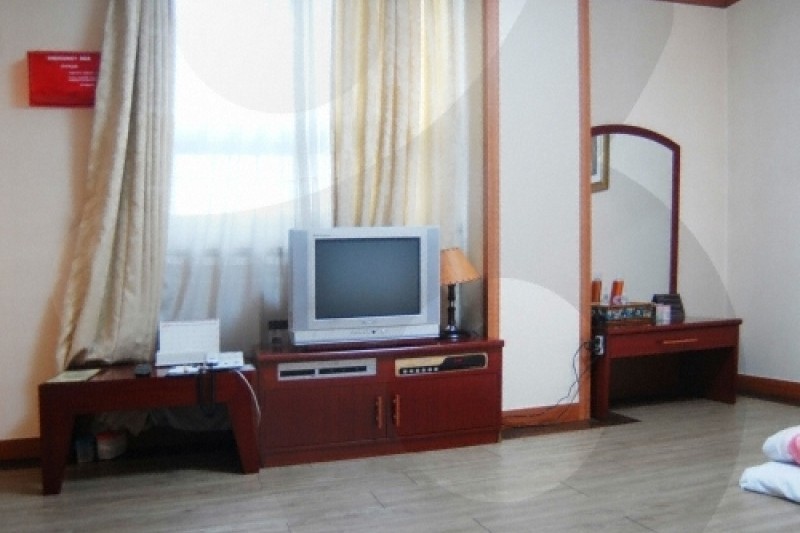 希丁克大陸 (24/36)