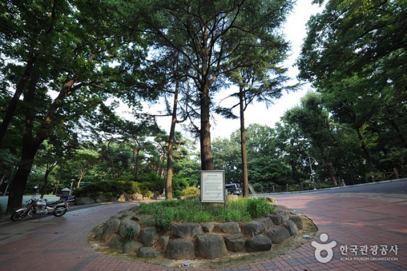 社稷公園 (2/15)