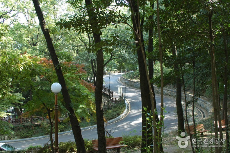 社稷公園 (5/15)