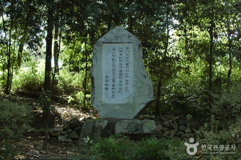 社稷公園 (6/15)
