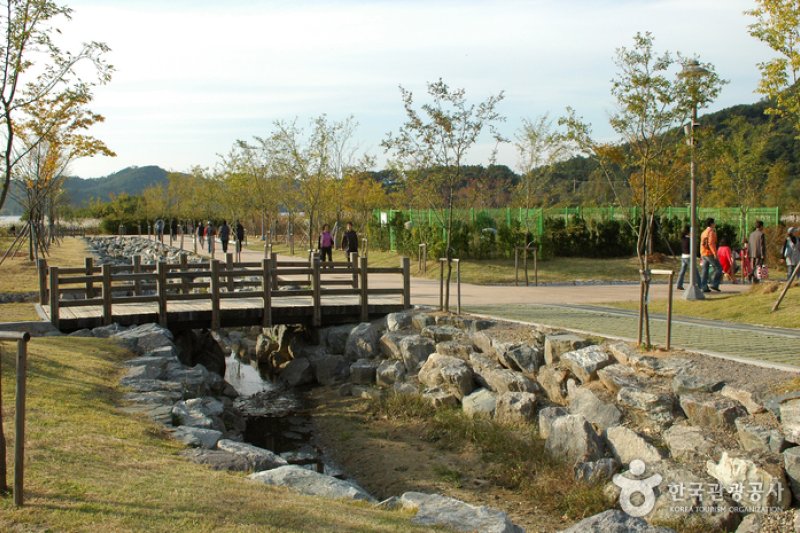 光州湖 湖水生態園광주호 호수생태원 (1/20)