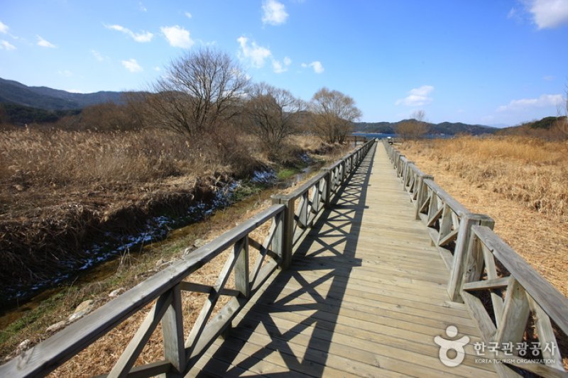 光州湖 湖水生態園광주호 호수생태원 (3/20)