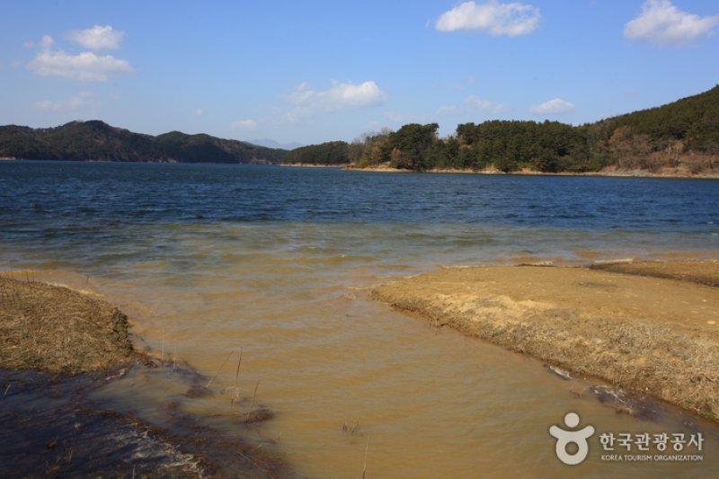 光州湖 湖水生態園광주호 호수생태원 (5/20)