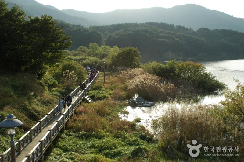 光州湖 湖水生態園광주호 호수생태원 (7/20)