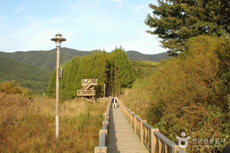 光州湖 湖水生態園광주호 호수생태원 (8/20)