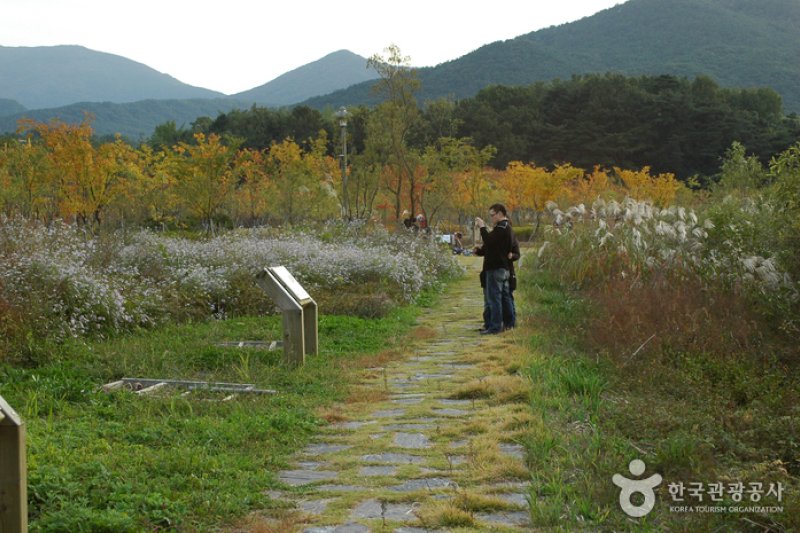 光州湖 湖水生態園광주호 호수생태원 (10/20)