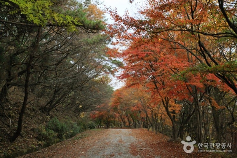 無等山國立公園 (44/45)