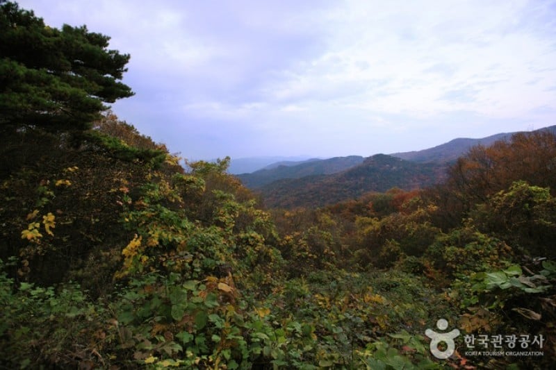 無等山國立公園 (45/45)