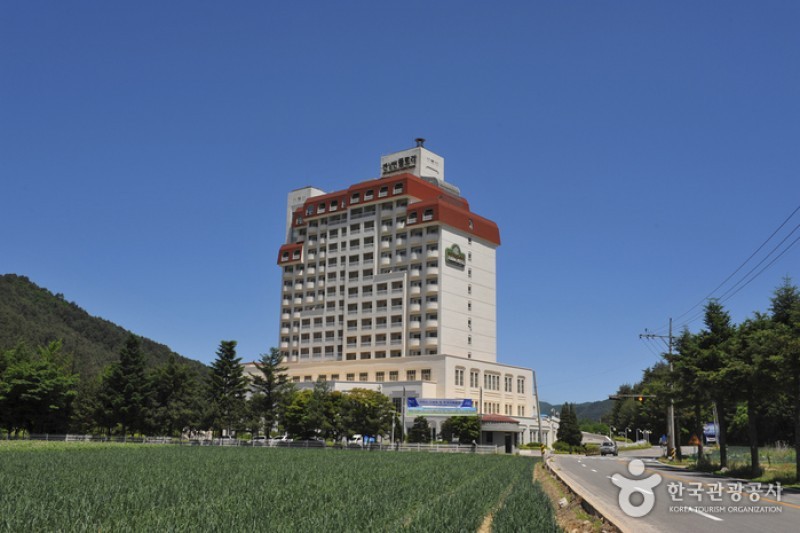 Kensington Flora飯店 (1/9)