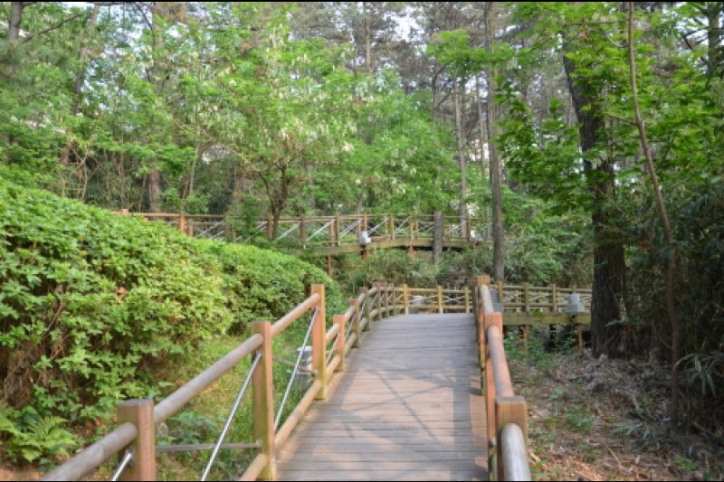 中外公園 (6/14)