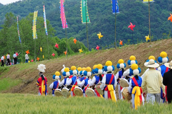 光山小麥節